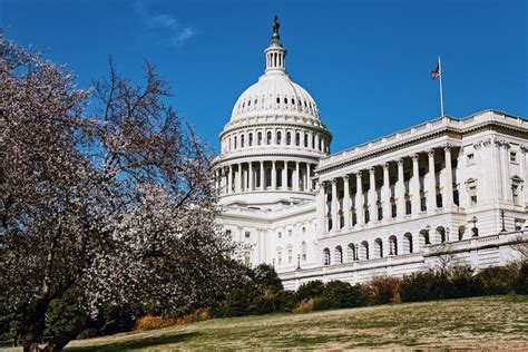 DC City Tours | Capitol Hill | Semi-Private & Private Tours