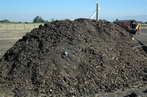 Manure