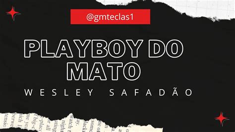 Playboy Do Mato Wesley Safad O Karaoke Youtube