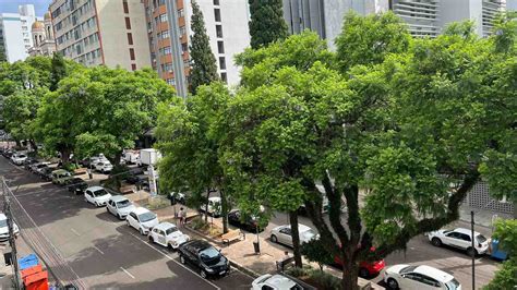 Cdl Passo Fundo Revitaliza Canteiros Da General Netto O Nacional