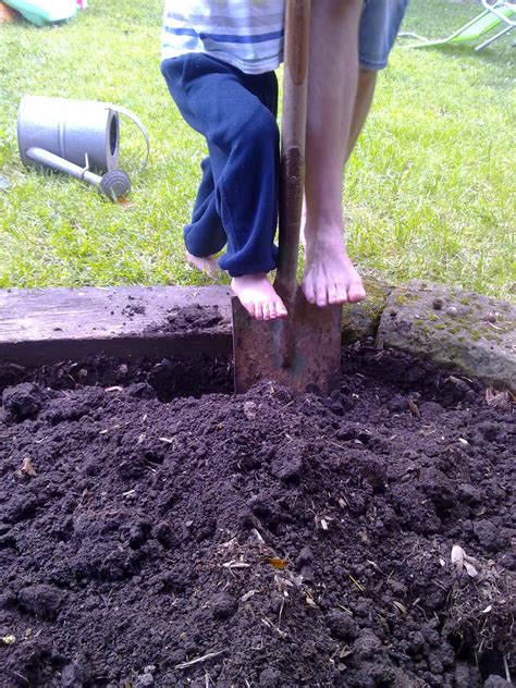 The Simple Diary of a Simplifying Mama: Planting strawberries