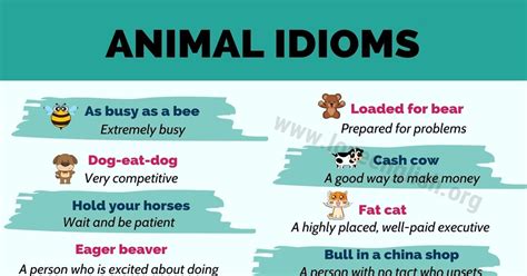 Animal Idioms 20 Interesting Animal Idioms With Meanings Love English
