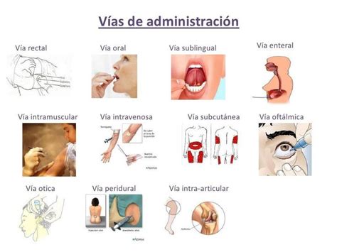 Vias De Administracion Rectal Tecnico Auxiliar De Enfermeria Cosas