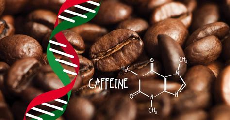 Passion for Coffee: Italians have it in their DNA - blog SpecialCoffee