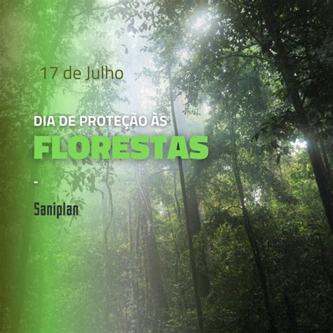 Dia de Proteção às Florestas: Valorizando Nossos Ecossistemas Naturais