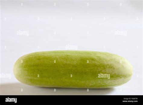 Vegetable Cucumber Kakdi India Hi Res Stock Photography And Images Alamy