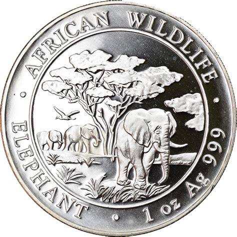 Silver Ounce 2012 African Wildlife Elephant Coin From Somalia