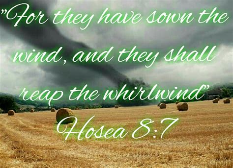 Hosea Kjv For They Have Sown The Wind And They Shall Reap The