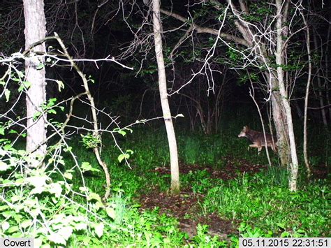 Secret Ohio Highway Cam Footage Leaks Online