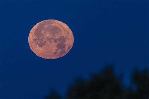 V Deo La Luna Nos Fascina Con Su Luna De Fresa La Primera Luna