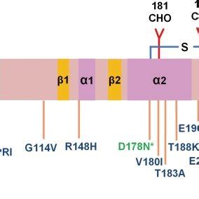 Mutations in that PRNP gene the cause genetic Creutzfeldt-Jakob disease ...