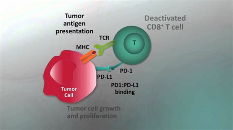 Immunotherapy for NSCLC - Video abstract 57550 - YouTube