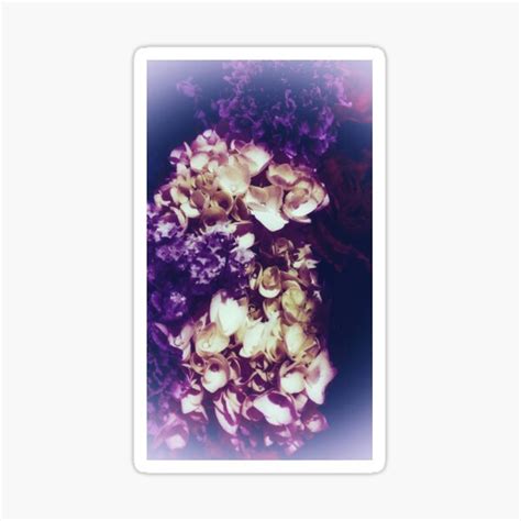 Soft Purple Hydrangeas Sticker By OliviaHathaway Redbubble