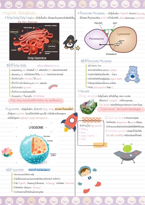 สรุปวิชาชีววิทยาชั้นมัธยมศึกษาตอนปลาย ม 4 เรื่องทฤษฎีเซลล์ Cell Thecry