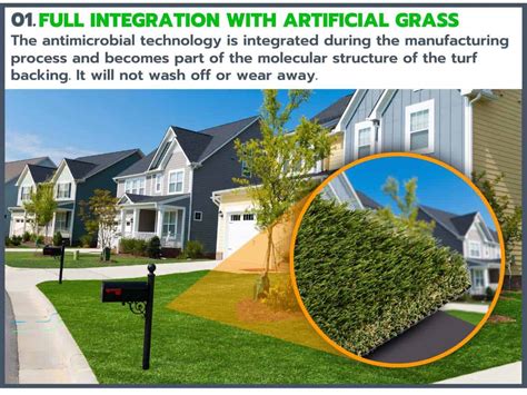 Antimicrobial Protection on Synthetic Grass // TURF NETWORK