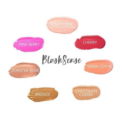 Senegence Makeup Blushsense By Senegence Poshmark