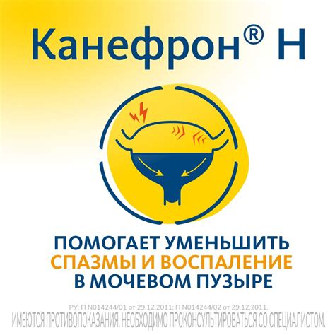 Канефрон Н таблетки 60 шт., цены от 714 ₽ в аптеках Белгорода | Мегаптека