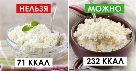 Здоровье и долголетие