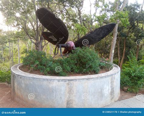 Butterfly Park, Bannerghatta National Park and Zoo, Bangalore ...