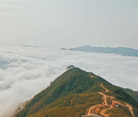 Săn Mây Tà Xùa Sơn La Wecheckin