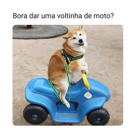 A Cara De Quem N O Gostou Nada Da Placa Por Favor N O Alimente O