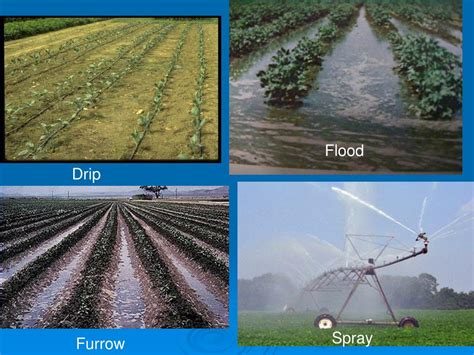 Ppt Precision Irrigation And Fertigation Powerpoint Presentation