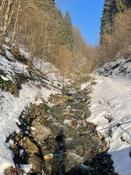 Туристичний маршрут «Кам’яним потоком» протяжністю 1,6 км облаштують на ...