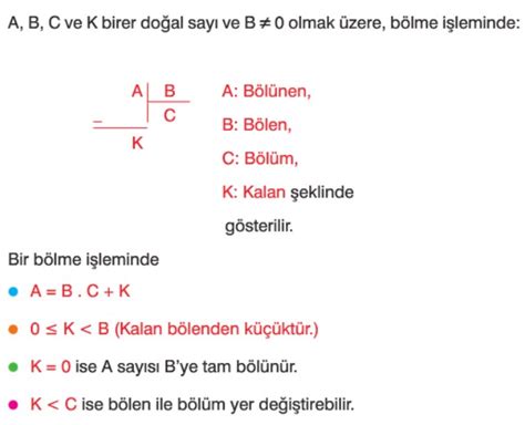 S N F B Lme Ve B L Nebilme Kurallar Konu Anlat M Z Ml Sorular