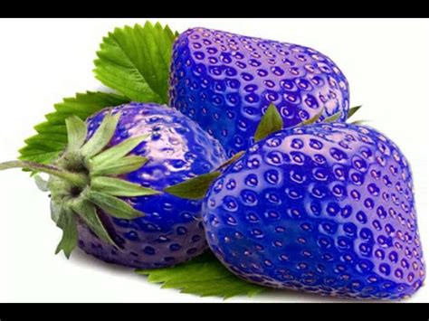 Blue Strawberry Real