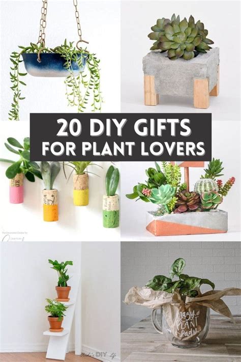 20 Diy Ts For Plant Lovers Anikas Diy Life