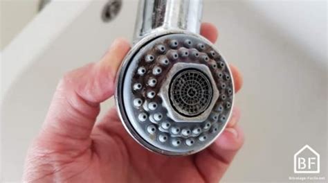 Comment Nettoyer Un Pommeau De Douche Bricolage Facile