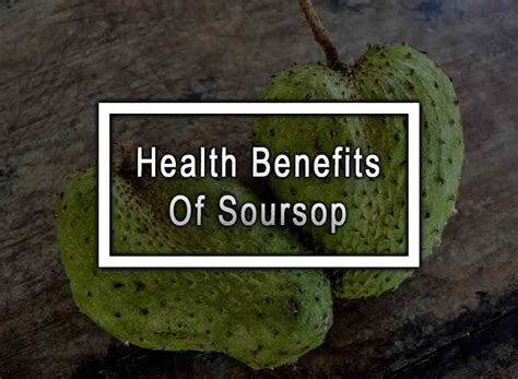 9 Health Benefits Of Soursop