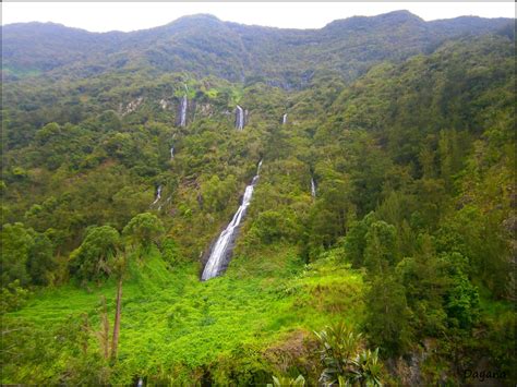 Reunion Island Tourism Board - Did you know that Air Austral flies