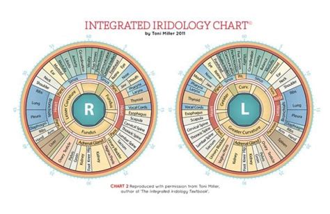 Integrated Iridologywhoteamchart Class And Textbook Iriscope