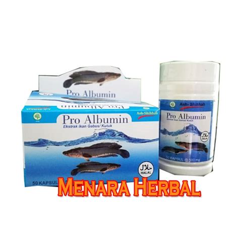 Jual Pro Albumin Ekstrak Ikan Gabus Sah Ekstrak Albumin Ikan Gabus