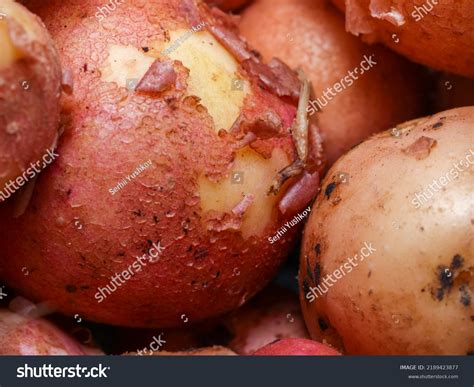 Young Potato Skin Texture Close Background Stock Photo 2189423877