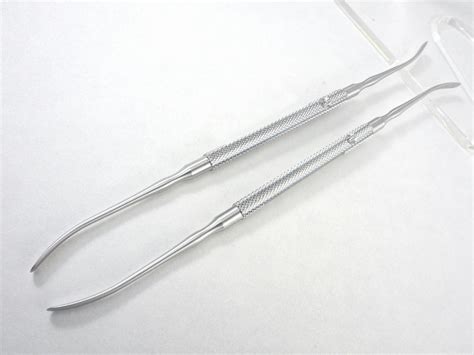 freer elevator double ended sharp  blunt bear ent