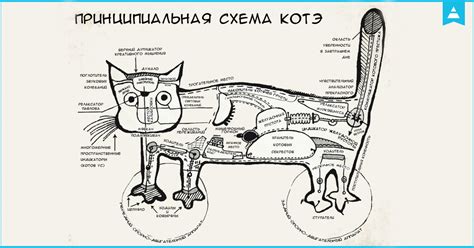 Big Blog PhDrDAK: Пинакотека: "Кот как апперкот трикотажного антрекота."