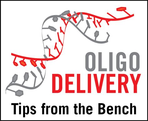 Optimizing siRNA Delivery | Mirus Bio