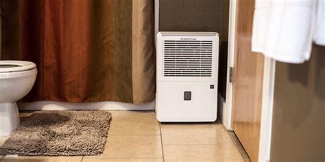 Best Dehumidifier For Basement Mold - Top 7 Best Dehumidifier For ...