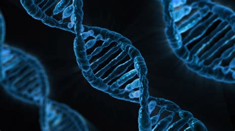 Genetics vs Genomics Explained - California Business Journal