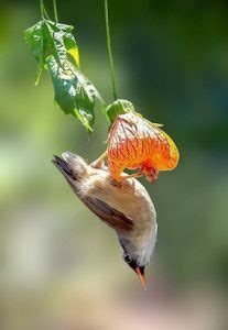 Links Archives Naked Capitalism