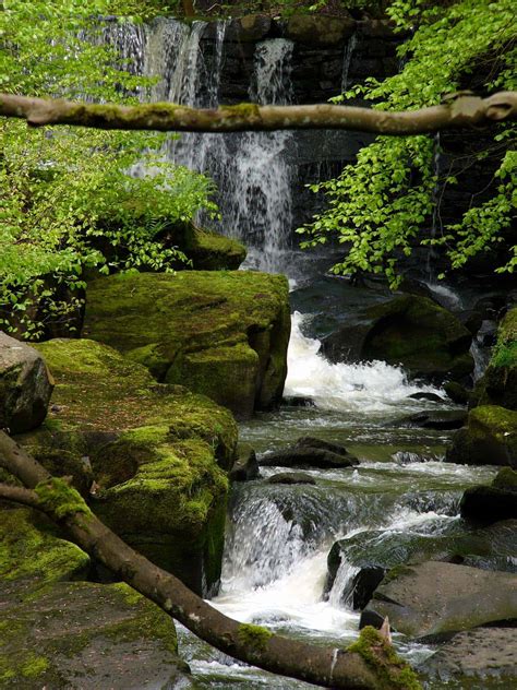 Public Transport Directions to Healey Dell Nature Reserve 17