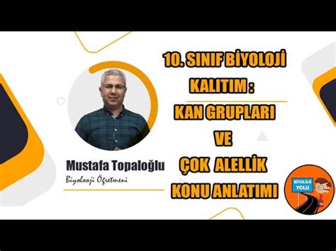 10 SINIF BİYOLOJİ KALITIM KAN GRUPLARI Ve ÇOK ALELLİK KONU ANLATIMI