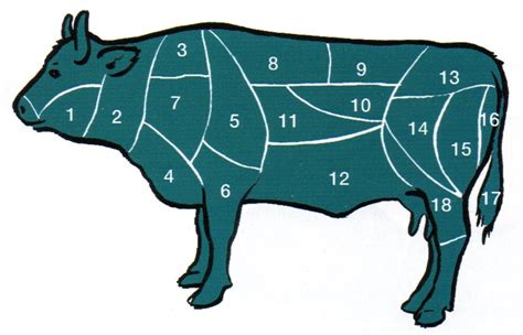 Entre Hornos Y Cazuelas De La Vaca Tipos Partes Y Usos