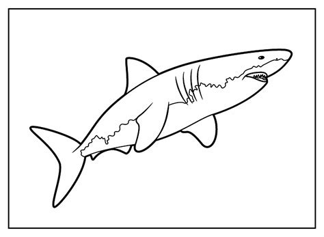 Desenho Tubarao Para Colorir BRAINCP