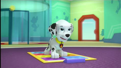 Image - Do the Pup Pup Boogie - 1x11A Pups Leave Marshall Home Alone.png | PAW Patrol Wiki ...