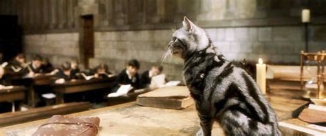 Animagus Forms, and The People Who Have Them – Dwelling on Dreams