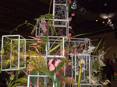 Naked Philadelphian Visit Hawaii Courtesy Of The Philadelphia Flower Show