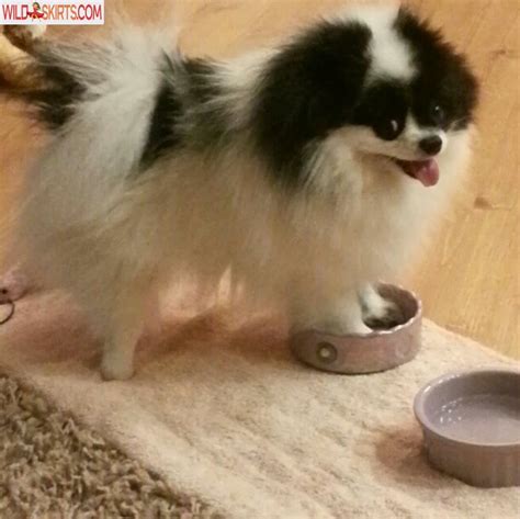 Molly Cavalli Iammollycavalli Iammollyxoxo Nude OnlyFans Instagram Leaked Photo 51